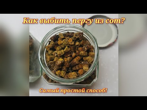 Видео: Перга! Как выбить пергу из сот. Самый простой способ!!!