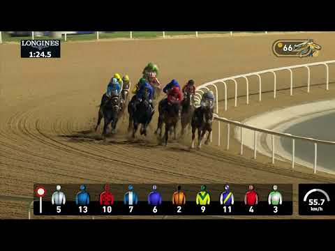 Видео: Скачки. DUBAI ISLANDS. Дебют Кабирхана и Хироу Мо в Дубае