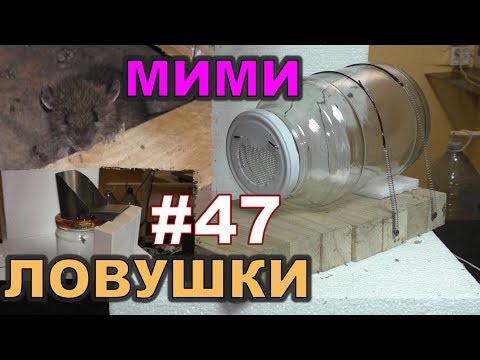 Видео: #47. Охота на КРЫС с комплексом “HWRAT-HUNTER“. МиМи ловушки