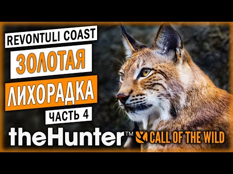 Видео: В ПОИСКАХ ЗОЛОТЫХ ТРОФЕЕВ! ОХОТА В ФИНЛЯНДИИ! | theHunter Call of the Wild 🦆 | (часть 4)