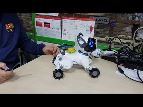 Видео: Обзор робот собака WOWWEE Chip