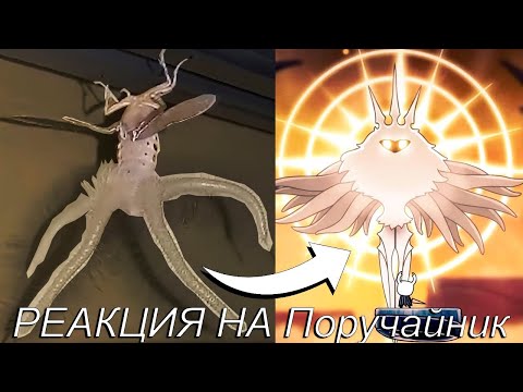 Видео: жуки из Hollow knight в реальной жизни! | Реакция на Поручайник