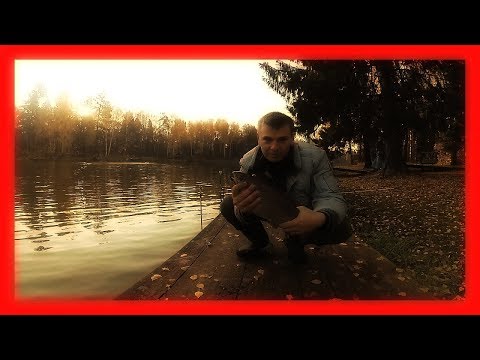 Видео: Ловим форель на платнике МО. Новый розыгрыш в конце видео...