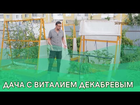 Видео: Дача с Виталием Декабревым