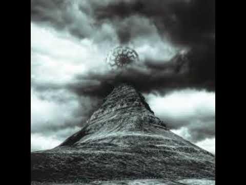 Видео: Metro pro - дерево