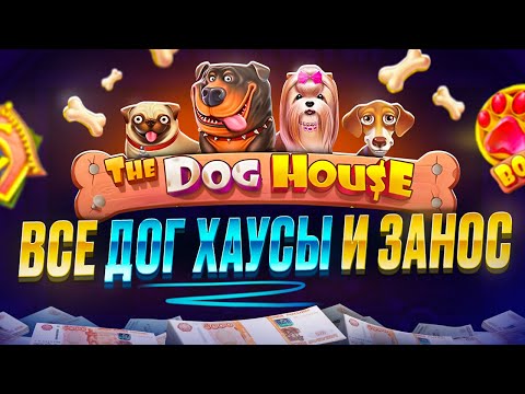 Видео: ЗАШЛА в ВСЕ ДОГ ХАУСЫ и ПОЙМАЛА ОГРОМНЫЙ ЗАНОС! БИТВА DOG HOUSE (лучшая сессия)