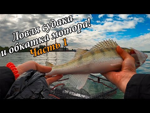 Видео: ЛОВИМ СУДАКА с лодки и ОБКАТЫВАЕМ МОТОР HANGKAI 6 ЛС. Часть 1.