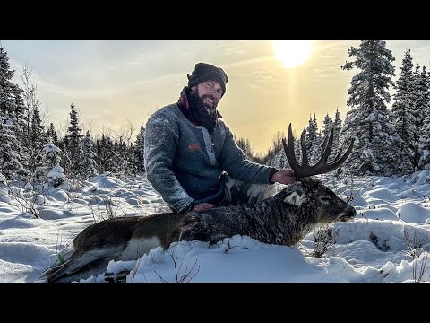 Видео: Большой северный канадский бушбак (охота на белохвостого оленя в Альберте, 2024 г.)