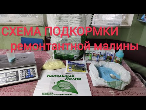 Видео: Схема подкормки ремонтантной малины