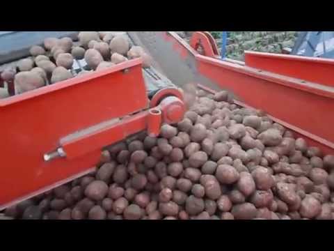 Видео: картофелеуборочный комбайн GRIMME LK650