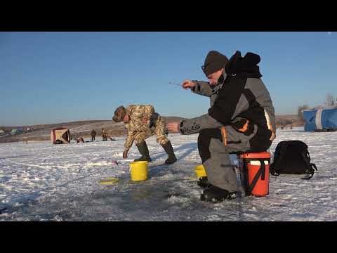 Видео: Открыли сезон . Кайфанули на все 100 ! #Рыбалка #Капчагай  110125