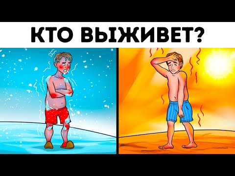 Видео: Решите одну из этих загадок, чтобы доказать, что вы – новый Шерлок