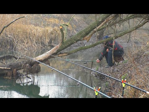 Видео: Рыбалка на старом месте   Ловля карася в декабре на поплавок . My fishing