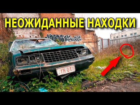 Видео: БЕЗУМНОЕ КОЛИЧЕСТВО НАХОДОК на пляже металлоискателем на пляже / Находки №228