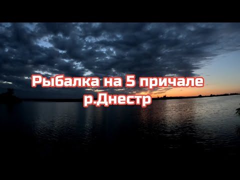 Видео: Рыбалка на 5 причале р.Днестр 26 сентября 2025 г.