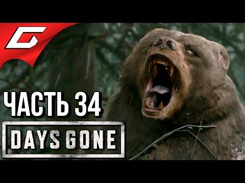 Видео: DAYS GONE (Жизнь После) ➤ Прохождение #34 ➤ ОГРОМНЫЙ ЗОМБО-МЕДВЕДЬ