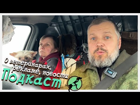 Видео: Как мы за два месяца сменили дислокацию приюта и почему.
