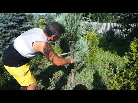 Видео: Спираль голубая стрела!