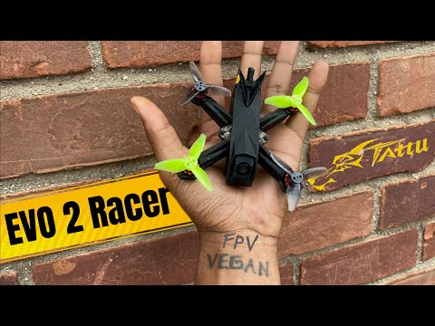 Видео: Обзор и полет гоночного самолета Evo 2