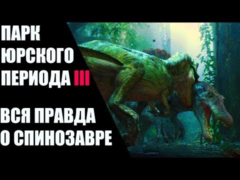 Видео: |ПОЧЕМУ СПИНОЗАВР ПОБЕДИЛ ТИРАННОЗАВРА| ВСЯ ПРАВДА О СПИНОЗАВРЕ