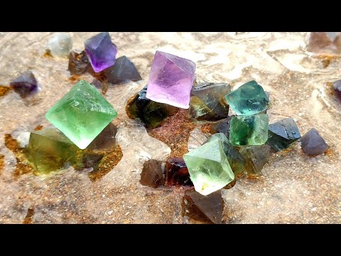 Видео: Когда я ловил омаров, я нашел бриллианты, разбросанные по пляжу.