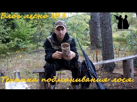 Видео: Блог лесной №3. Техника подманивания лосей во время гона.