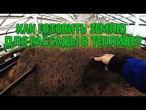 Видео: Как приготовить землю для рассады в теплице?