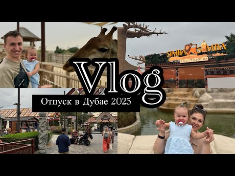 Видео: Vlog | Дубай 2025 | Цены | Празднуем 1 год  дочери | Safari Park | Ужин на Марине