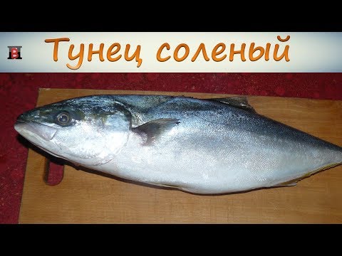 Видео: Тунец соленый. Вкуснее соленой скумбрии. Самый простой рецепт.