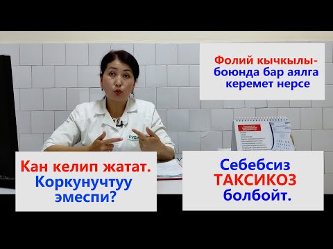 Видео: ТАКСИКОЗ. Кан кетүү.