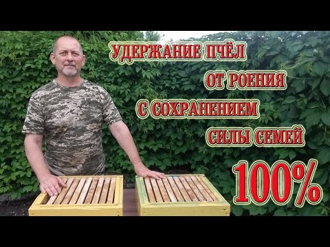 Видео: Удержание пчёл от роения с сохранением силы семей - 100%
