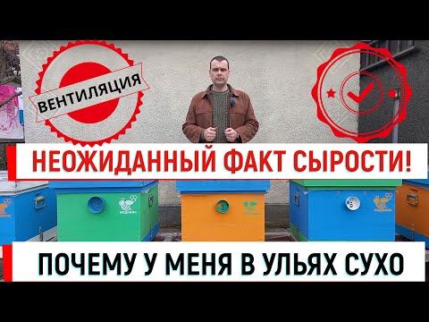 Видео: В ульях сухо! Неожиданная причина влажности. Правильная вентиляция.