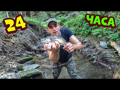 Видео: 24-Часа в каменном домике.Ловлю форель руками.Собираю и готовлю грибы.