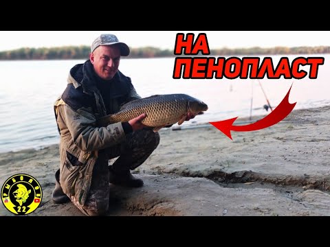 Видео: Отдых и рыбалка в Камне на Оби. Сазан на пенопласт.#сазан #рыбалканаоби