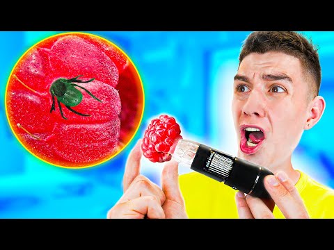 Видео: 😨 СМОТРЮ НА ВСЕ ПОД МИКРОСКОПОМ ЧЕЛЛЕНДЖ ! **НАШЛИ ЧЕРВЯ** ЧАСТЬ 6