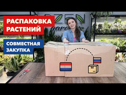 Видео: Распаковка посылки с растениями из совместной закупки