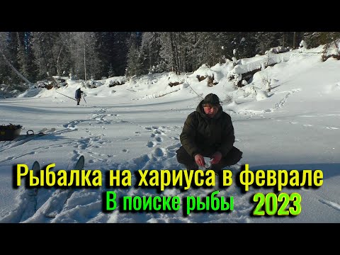 Видео: Рыбалка на Хариуса в феврале. В поиске рыбы по таёжным рекам. Рыбалка в Коми.