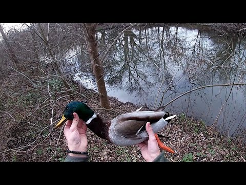 Видео: Разходка на Бъдни вечер