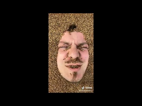 Видео: ГРЕЧНЕВЫЙ БАРОН