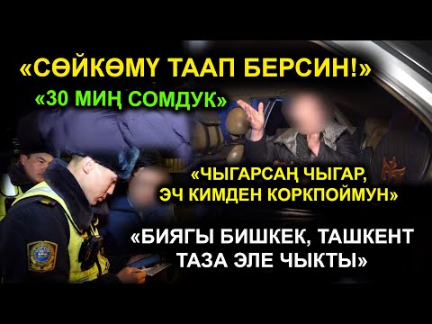 Видео: МЫЙЗАМСЫЗ ТОНИРОВКА  /  ЖИНДИ СУУНУН НАТЫЙЖАСЫ /  ТЕЛЕРЕЙД