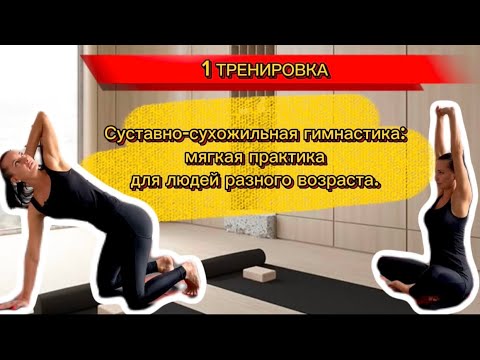 Видео: 1 тренировка. Суставно-сухожильная гимнастика: мягкая практика для людей разного возраста.