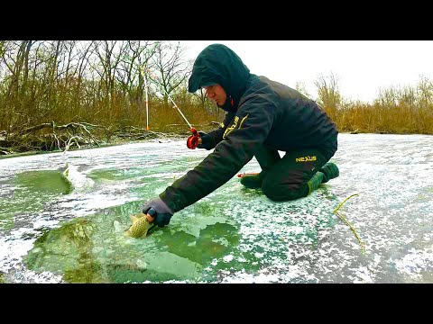Видео: Цу був ЄДИНИЙ ШАНС РИБАЛКИ З ЛЬОДУ! ОГРОМЕЗНІ КАРАСІ КЛЮЮТЬ!!!
