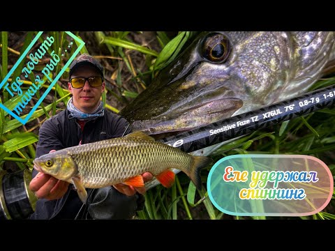 Видео: Еле УДЕРЖАЛ спиннинг!!! ГДЕ ловить ТАКИХ РЫБ!!!