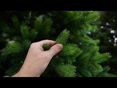Видео: Как выбрать искусственную ёлку: советы управляющего магазином RichFamily | NGS.RU