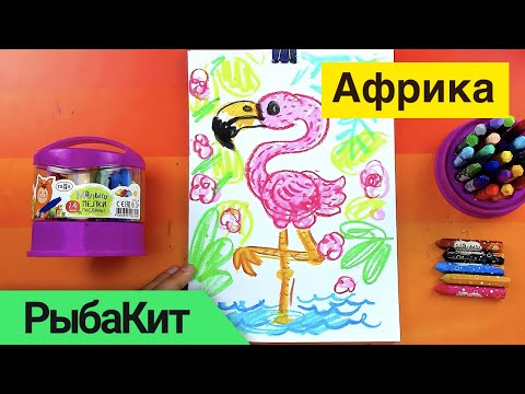Видео: Рисуем ФЛАМИНГО масляной пастелью - РыбаКит