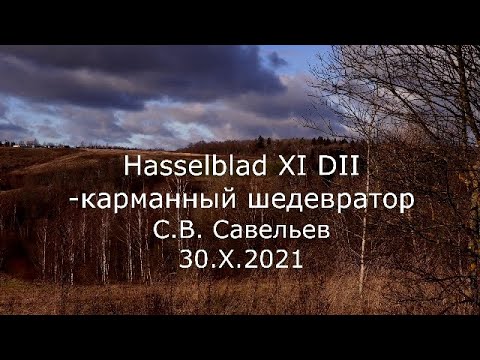 Видео: С.В. Савельев - карманный шедевратор