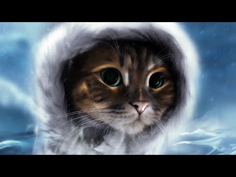 Видео: Тоска FM