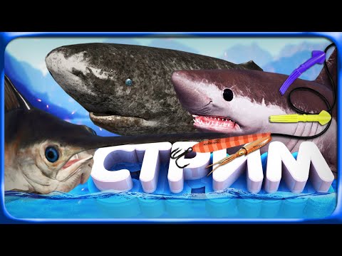 Видео: РР4 СТРИМ • ОХОТА ЗА РАЗМОТАМИ в ТРОЛЛИНГЕ на НОРВЕЖСКОЕ МОРЕ!