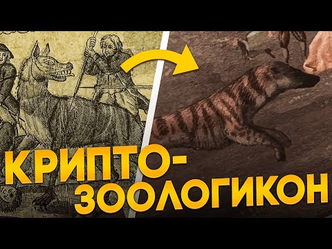 Видео: Что если бы криптиды были реальными животными?