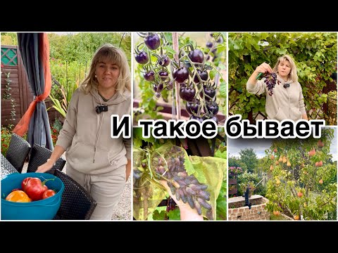 Видео: Всё Пошло Не По Плану / Обиделась И Ушла / Дачный Влог 